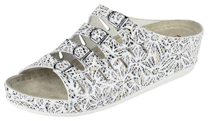 Hassel Weiss Leoblume